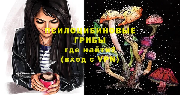 гидра Баксан